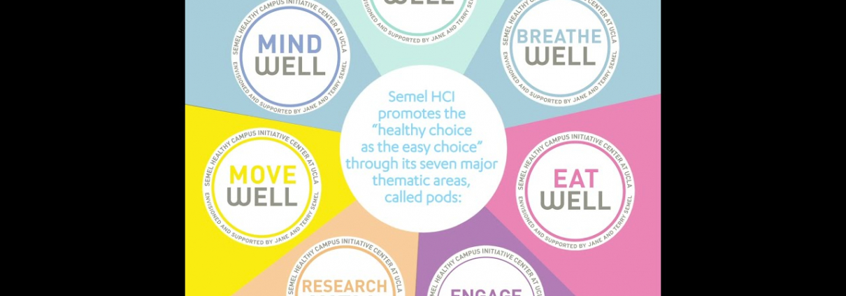 What is Semel HCI Infographic