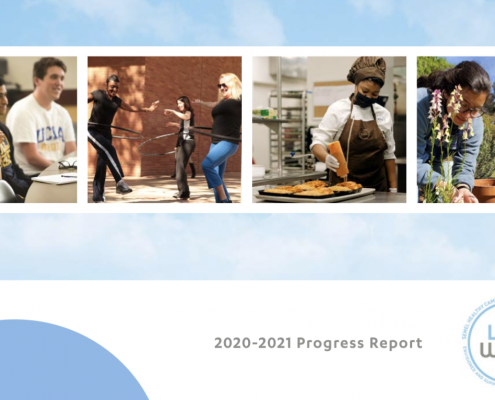 HCI 2020-2021 Progress Report Feature Image