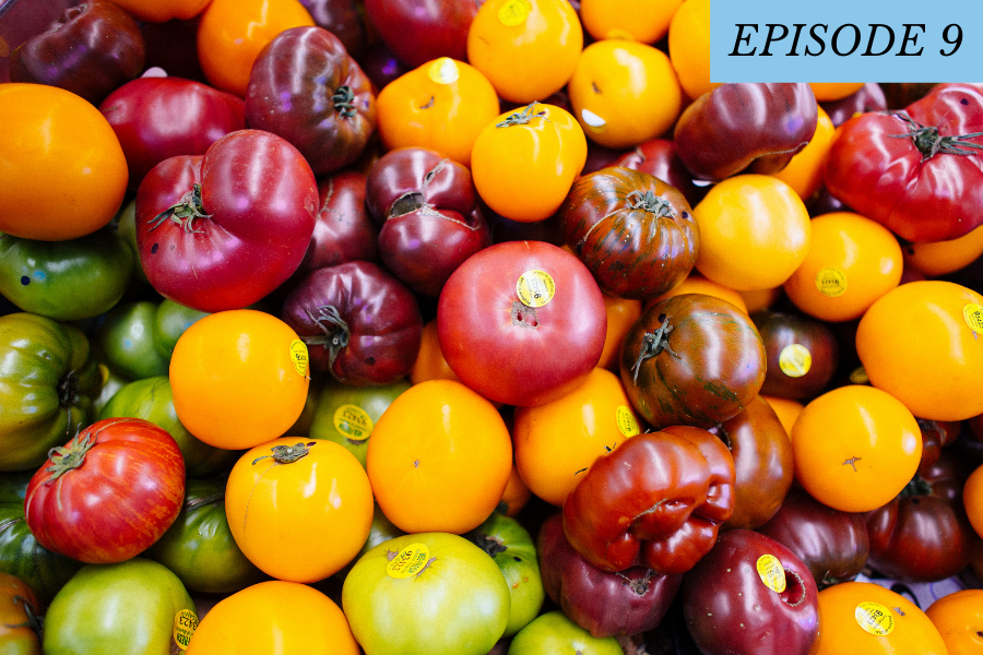 a bunch or different colored tomatoes