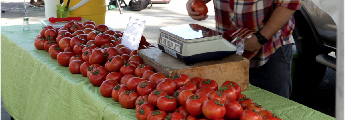 a farmer selling tomatoes at a farmers market