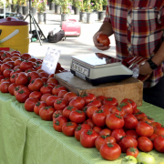 a farmer selling tomatoes at a farmers market