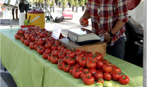 a farmer selling tomatoes at a farmers market