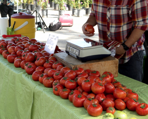 a farmer selling tomatoes at a farmers market