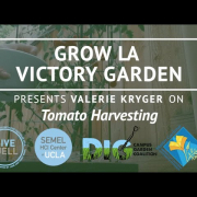 Grow LA Victory Garden Presents Valerie Kryger thumbnail