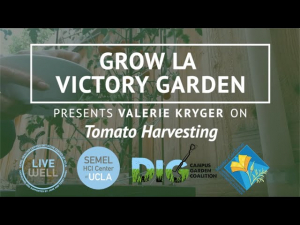 Grow LA Victory Garden Presents Valerie Kryger thumbnail