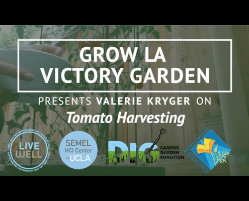 Grow LA Victory Garden Presents Valerie Kryger thumbnail