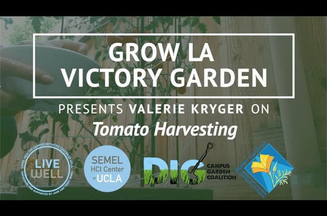 Grow LA Victory Garden Presents Valerie Kryger thumbnail