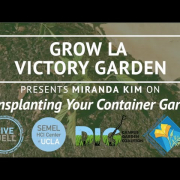 Grow LA Victory Garden Presents Miranda Kim thumbnail