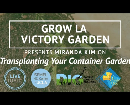 Grow LA Victory Garden Presents Miranda Kim thumbnail