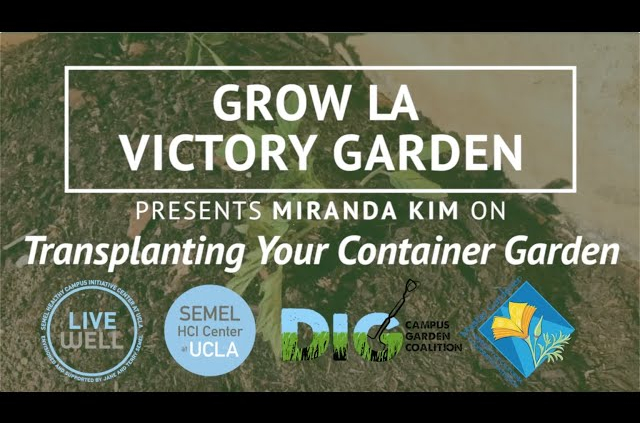 Grow LA Victory Garden Presents Miranda Kim thumbnail