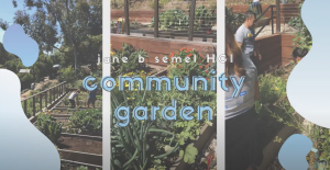 UCLA Gardening Opportunities 2019-2020 thumbnail