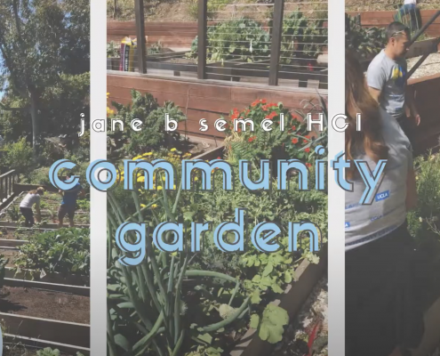 UCLA Gardening Opportunities 2019-2020 thumbnail