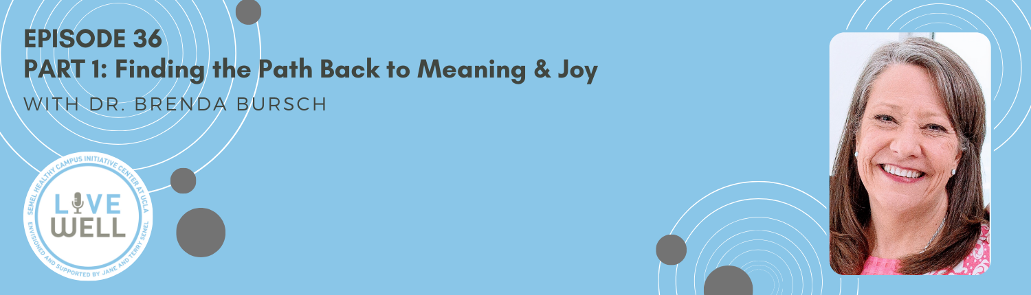 Episode 36 - Part 1: Finding the Path Back to Meaning & Joy banner