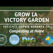 Grow LA Victory Garden Presents Sophie Roberts thumbnail