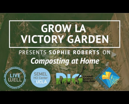 Grow LA Victory Garden Presents Sophie Roberts thumbnail