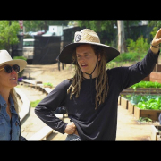 The jane b semel Community Garden at UCLA thumbnail