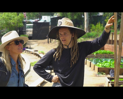 The jane b semel Community Garden at UCLA thumbnail