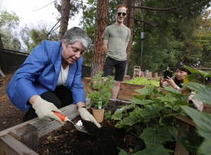 UC President Janet Napolitano plants oregano with Matt Orke in the student-run community garden at UCLA.