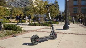 Bird scooter