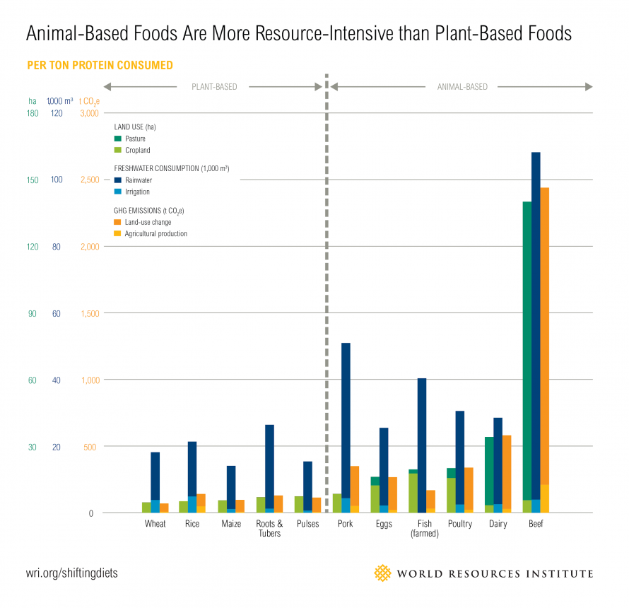 Overview of resources required to produce various proteins