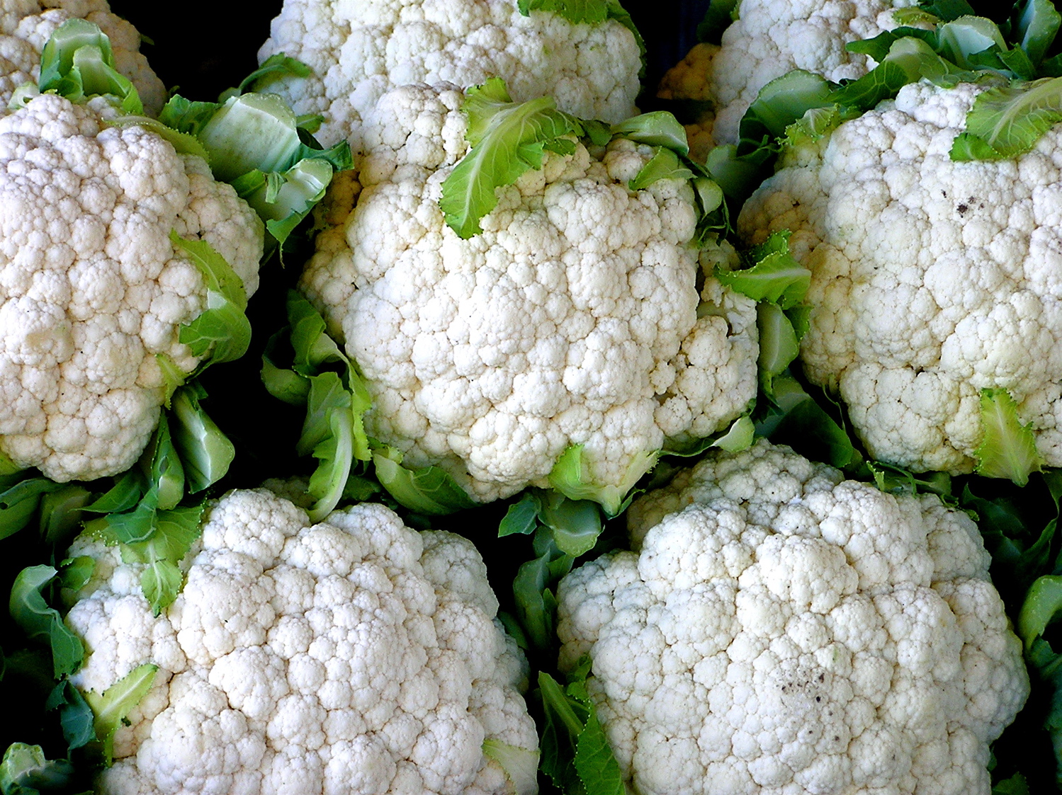 Cauliflowers_-_20051021.jpg