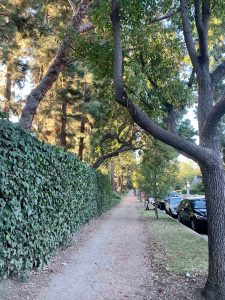 Walking trail on Veteran Ave